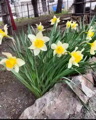 発寒神社(北海道)