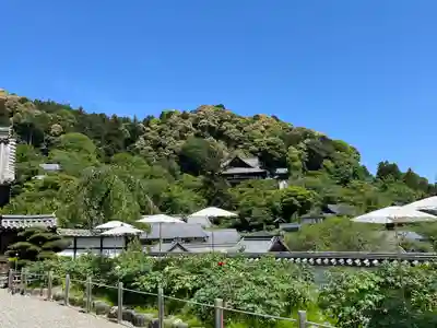 長谷寺(奈良県)