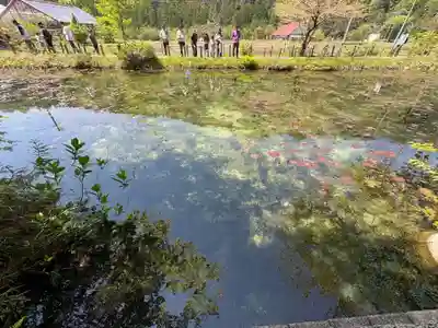 根道神社(岐阜県)