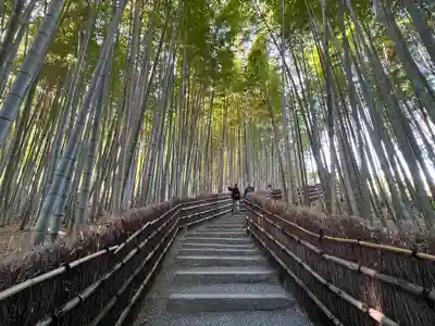 化野念仏寺(京都府)