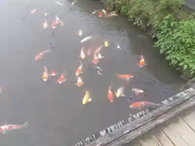 朝倉神社(福井県)