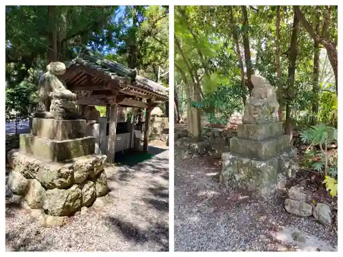 朝倉神社の狛犬