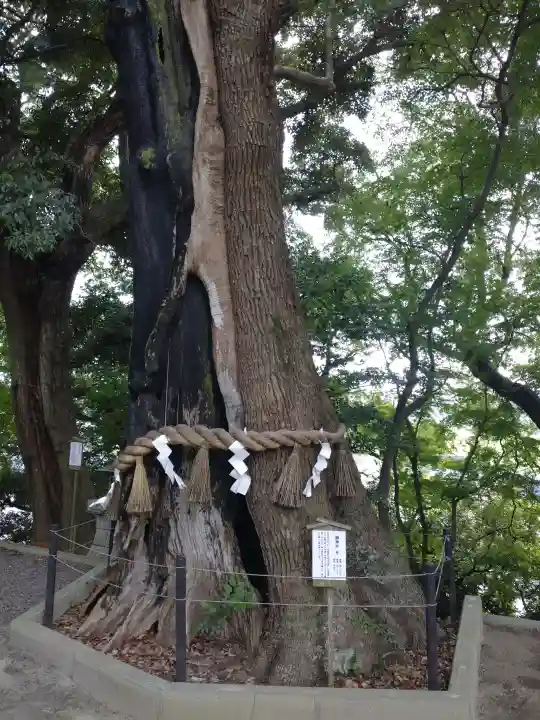 常陸國總社宮(茨城県)
