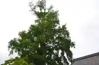 大福田寺(三重県)