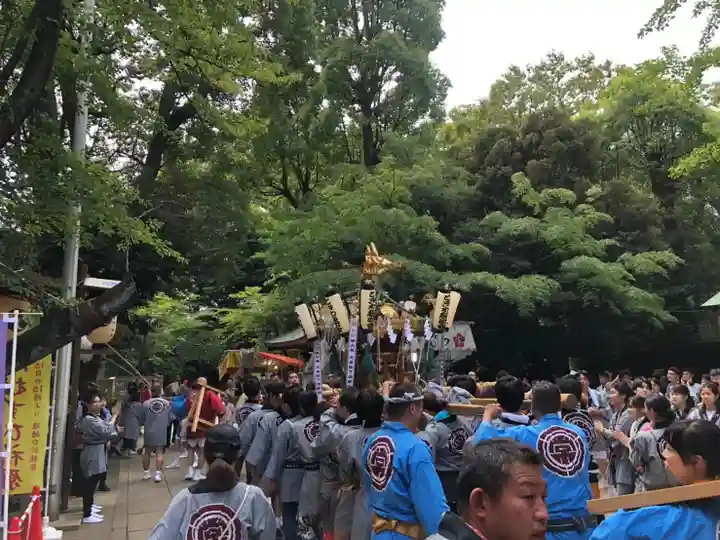 渋谷氷川神社のお祭り