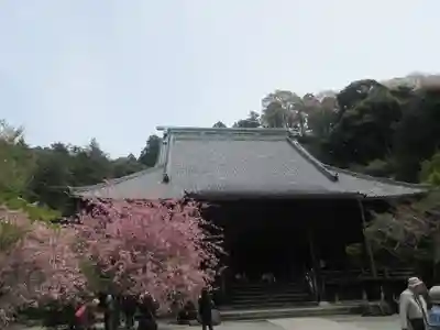 妙本寺の本殿・本堂