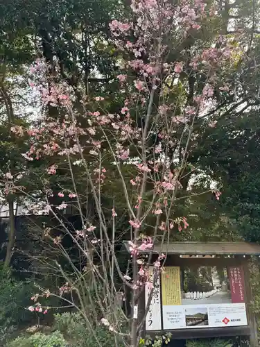 東京大神宮(東京都)