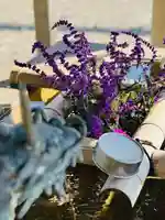 守りの神 藤基神社の手水舎