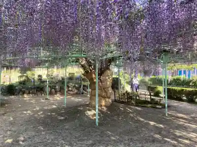 松樹院(竹成五百羅漢)(三重県)
