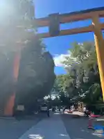 川越氷川神社の{uncategorized: "未分類", other: "その他", undefined: "問題あり", building: "その他建物", grave: "お墓", sacred_gate: "鳥居", guardian: "狛犬", statue: "像", buddha: "仏像", history: "歴史", nature: "自然", garden: "庭園", animal: "動物", pagoda: "塔", temizu: "手水舎", mountain_gate: "山門・神門", sanctuary: "本殿・本堂", subordinate: "末社・摂社", art: "芸術", scenery: "景色", jizo: "地蔵", ema: "絵馬", goshuin: "御朱印", omikuji: "おみくじ", items: "授与品その他", amulet: "お守り", goshuincho: "御朱印帳", eats: "食事", festival: "お祭り", votive_dance: "神楽", shichigosan: "七五三参", wedding: "結婚式", experience: "体験その他", initially: "初詣", around: "周辺", anti_infection: "感染症対策"}