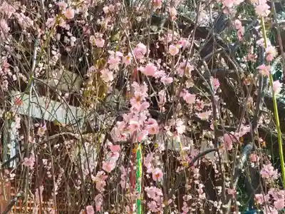 屯倉神社(大阪府)