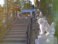 多賀神社の狛犬