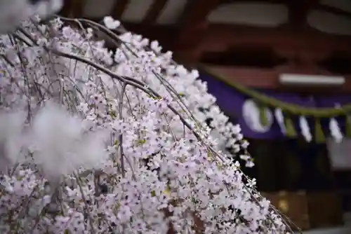 千住神社(東京都)