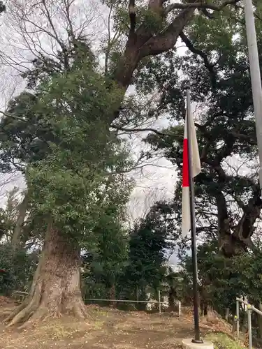 南金目神社(神奈川県)