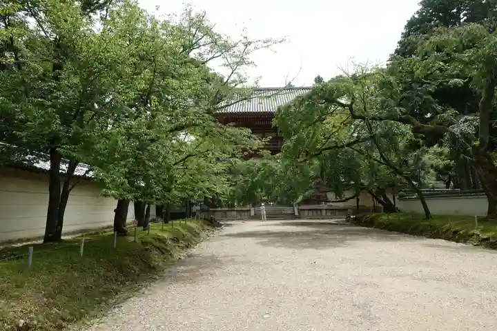 醍醐寺の山門・神門