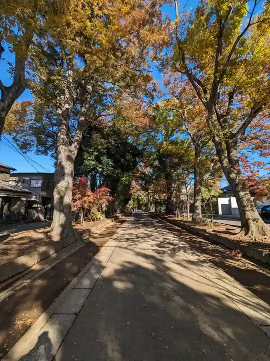 武蔵一宮氷川神社(埼玉県)