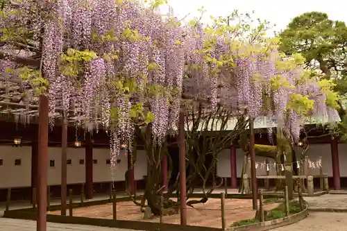 笠間稲荷神社(茨城県)