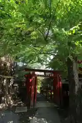 秩父神社の鳥居