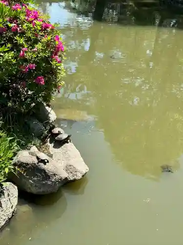 吉備津彦神社(岡山県)