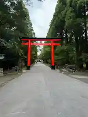 霧島神宮(鹿児島県)