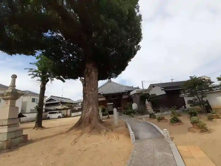 興源寺(大阪府)