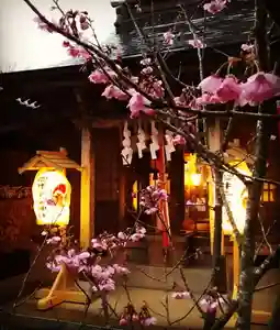 櫻井子安神社の自然(2019年09月20日(金) 20時00分32秒投稿)