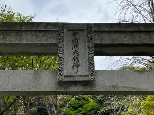 鹿児島神社の鳥居