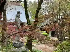 養樹院(圓通庵）(東京都)