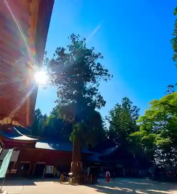 穂高神社本宮(長野県)