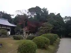 秋篠寺の庭園
