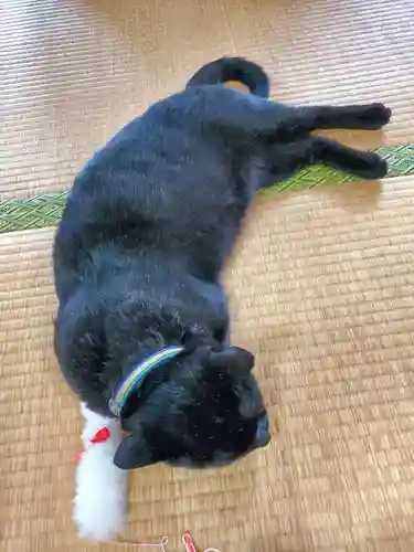 高司神社〜むすびの神の鎮まる社〜(福島県)