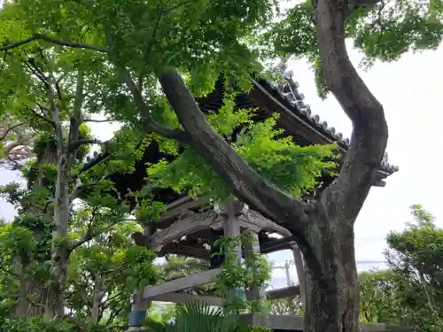養玉院如来寺(東京都)