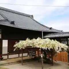 松應寺の庭園