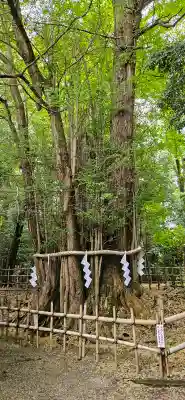 大國魂神社(東京都)