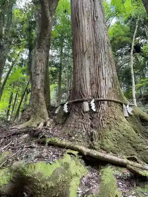 貴船神社奥宮(京都府)