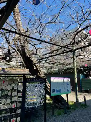國領神社の{uncategorized: "未分類", other: "その他", undefined: "問題あり", building: "その他建物", grave: "お墓", sacred_gate: "鳥居", guardian: "狛犬", statue: "像", buddha: "仏像", history: "歴史", nature: "自然", garden: "庭園", animal: "動物", pagoda: "塔", temizu: "手水舎", mountain_gate: "山門・神門", sanctuary: "本殿・本堂", subordinate: "末社・摂社", art: "芸術", scenery: "景色", jizo: "地蔵", ema: "絵馬", goshuin: "御朱印", omikuji: "おみくじ", items: "授与品その他", amulet: "お守り", goshuincho: "御朱印帳", eats: "食事", festival: "お祭り", votive_dance: "神楽", shichigosan: "七五三参", wedding: "結婚式", experience: "体験その他", initially: "初詣", around: "周辺", anti_infection: "感染症対策"}
