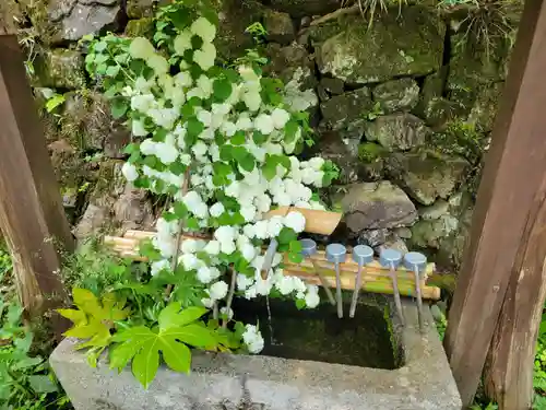 神藏寺(京都府)