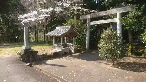 大山神社の鳥居
