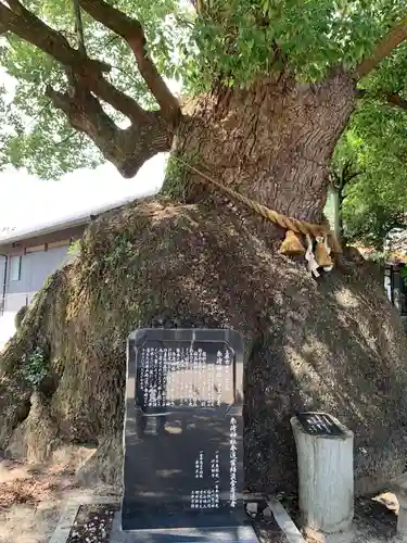 糸碕神社の建物その他