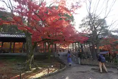 東福禅寺(東福寺)(京都府)