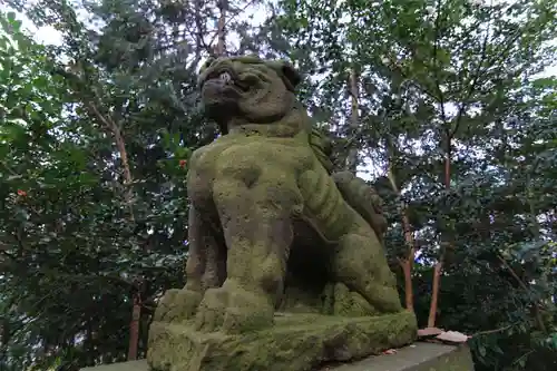 愛宕神社の狛犬