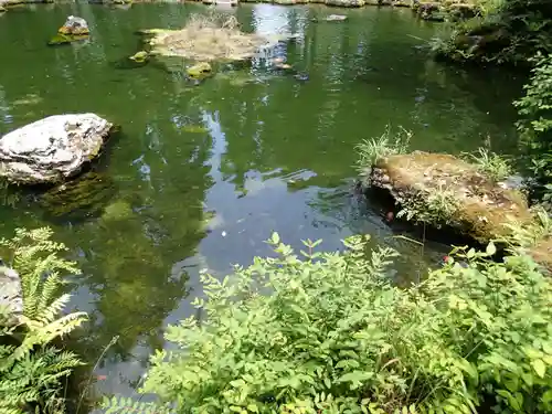 大虫神社の庭園
