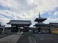 圓乘院の{uncategorized: "未分類", other: "その他", undefined: "問題あり", building: "その他建物", grave: "お墓", sacred_gate: "鳥居", guardian: "狛犬", statue: "像", buddha: "仏像", history: "歴史", nature: "自然", garden: "庭園", animal: "動物", pagoda: "塔", temizu: "手水舎", mountain_gate: "山門・神門", sanctuary: "本殿・本堂", subordinate: "末社・摂社", art: "芸術", scenery: "景色", jizo: "地蔵", ema: "絵馬", goshuin: "御朱印", omikuji: "おみくじ", items: "授与品その他", amulet: "お守り", goshuincho: "御朱印帳", eats: "食事", festival: "お祭り", votive_dance: "神楽", shichigosan: "七五三参", wedding: "結婚式", experience: "体験その他", initially: "初詣", around: "周辺", anti_infection: "感染症対策"}