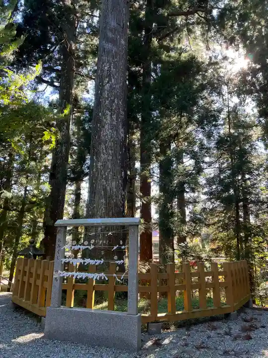 須山浅間神社(静岡県)