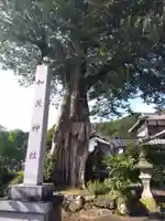 加茂神社(福井県)