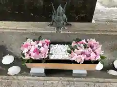 徳島眉山天神社の手水