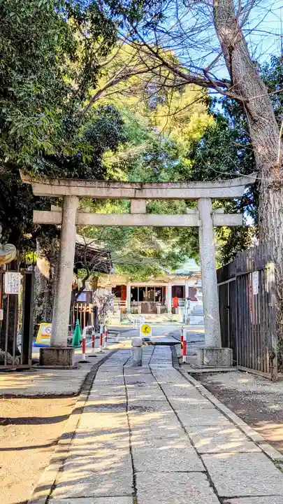 荻窪白山神社の鳥居