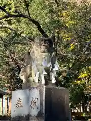 磯部稲村神社(茨城県)