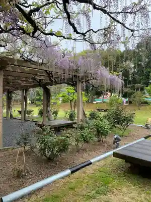 大山祇神社(愛媛県)