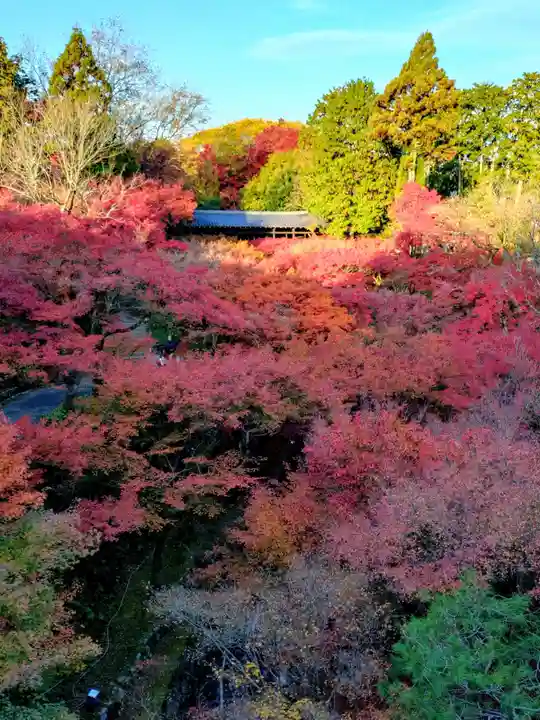 東福禅寺(東福寺)(京都府)